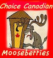 Moosemania Mooseberries Award.